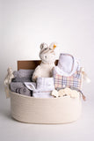 D’Angels Boy Basket